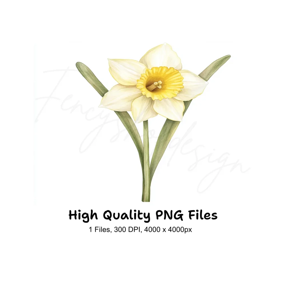 Daffodil Clipart Bundle