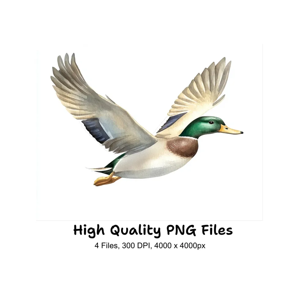 Flying Mallard Ducks Clipart Bundle