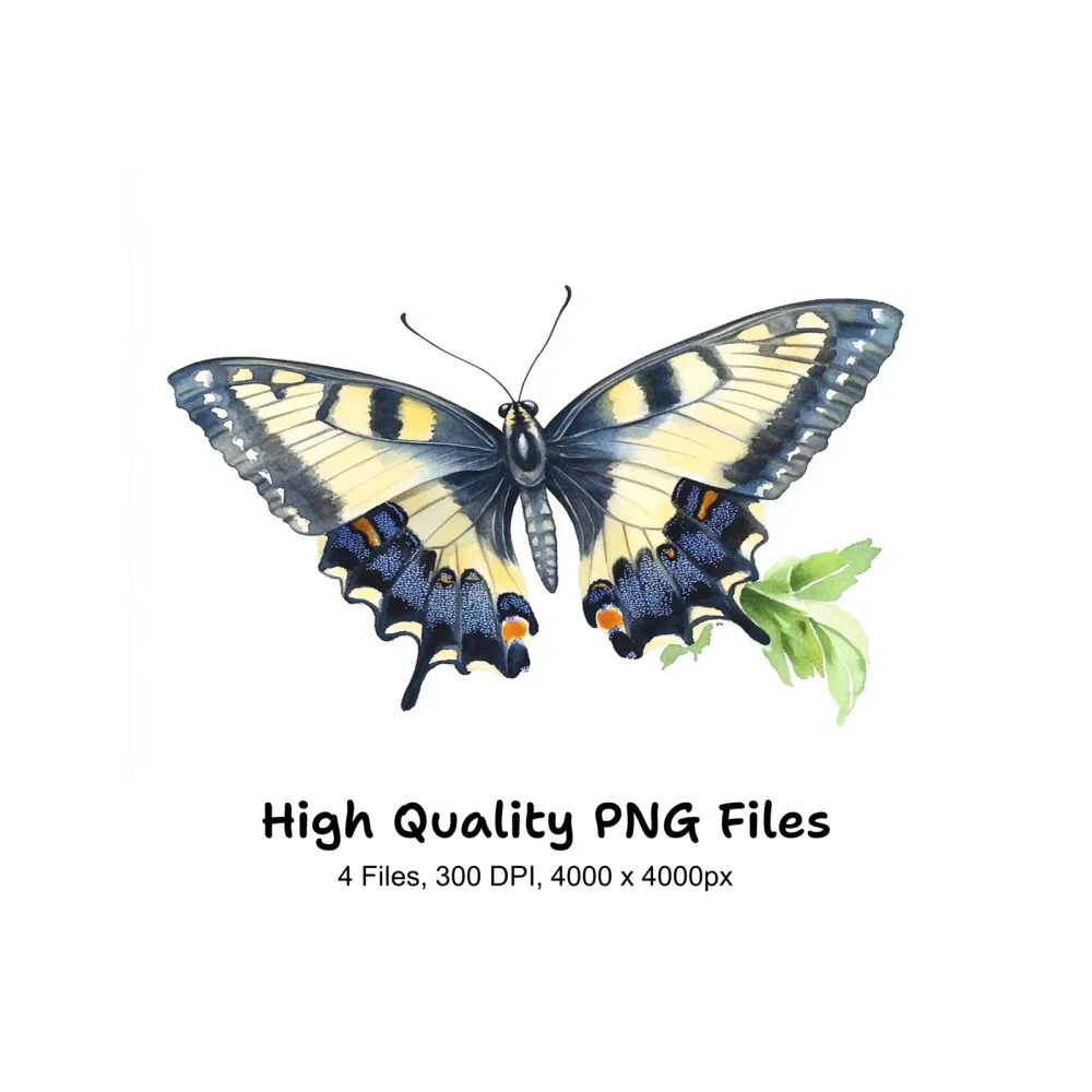 Elegant Swallowtail Butterfly Clipart Bundle