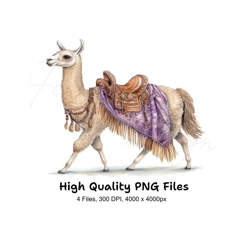 Llama with Ornate Saddles Clipart Bundle