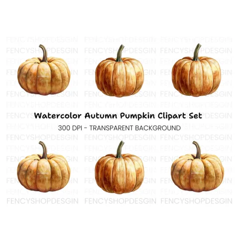 Pumpkins Clipart Bundle