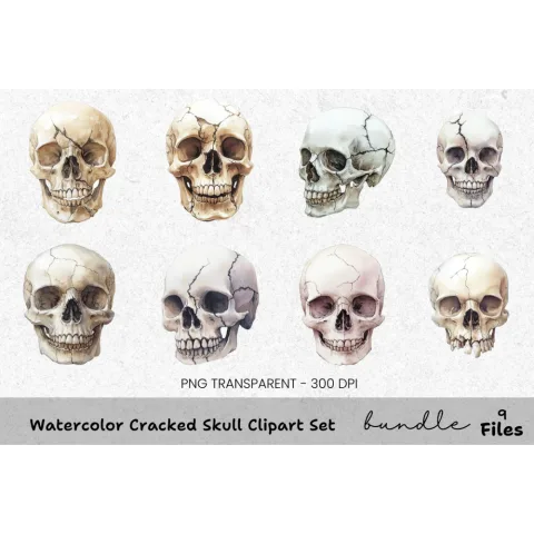Cracked Skull Clipart Bundle