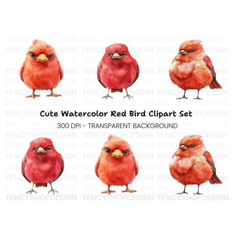 Cute Red Cardinal Bird Clipart Bundle