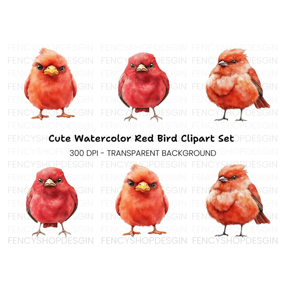 Cute Red Cardinal Bird Clipart Bundle