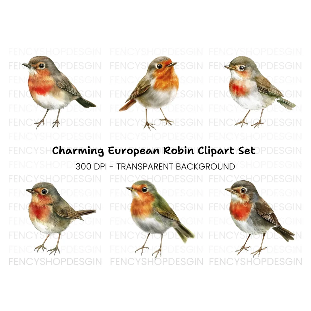 Adorable Robin Bird Clipart Bundle