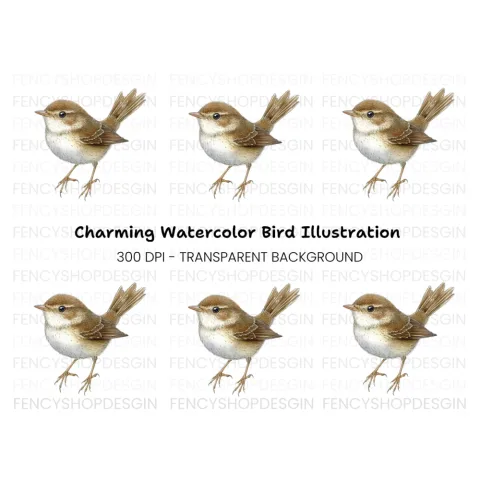Charming Little Brown Bird Clipart Bundle