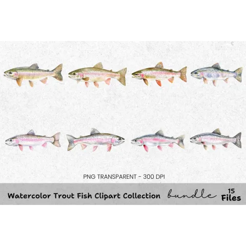 Trout Fish Clipart Bundle
