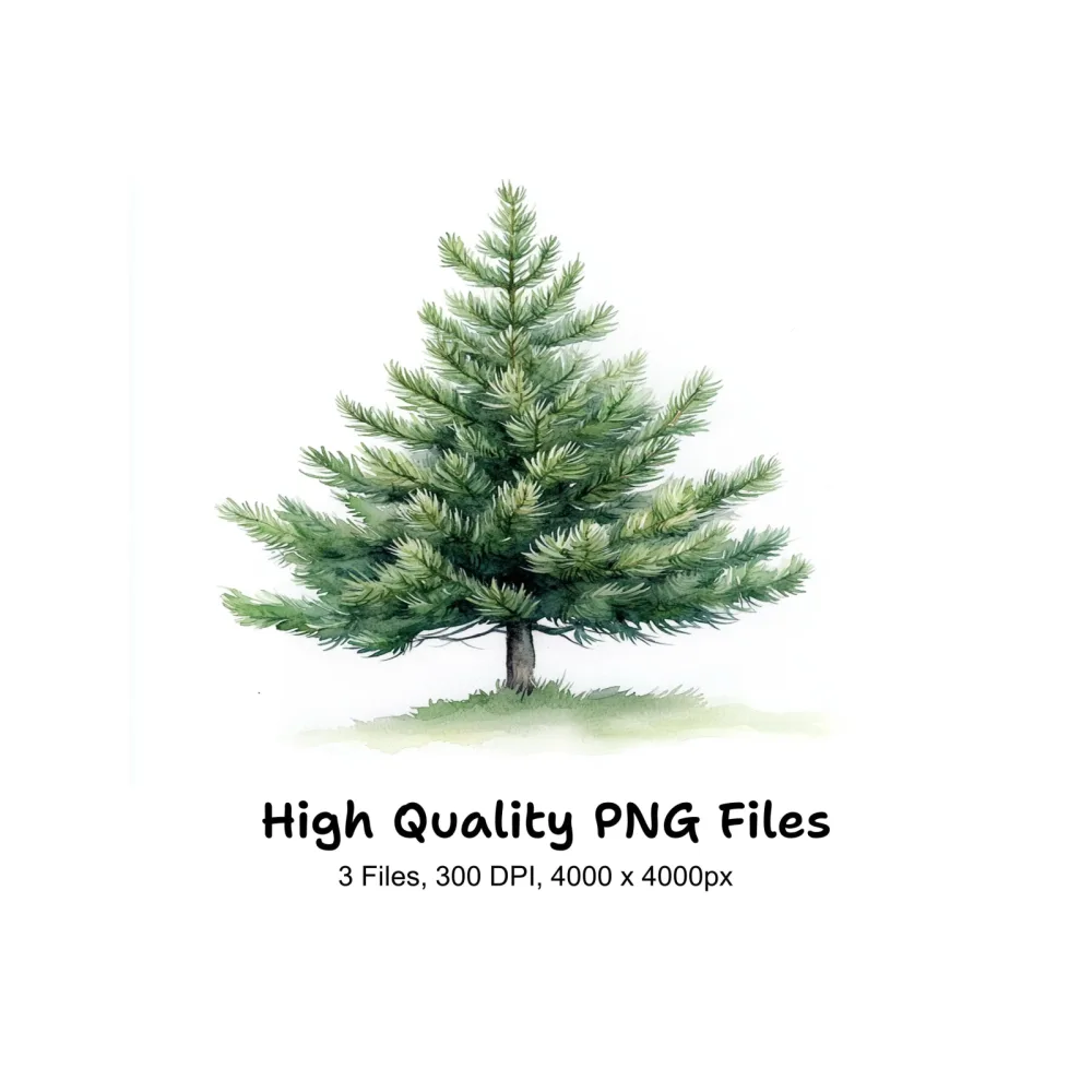 Green Pine Tree Illustrations Clipart Bundle