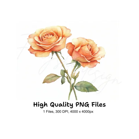 Elegant Peach Rose Clipart Bundle