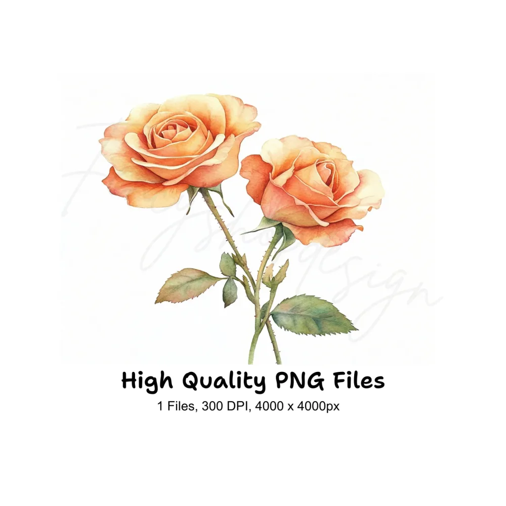 Elegant Peach Rose Clipart Bundle