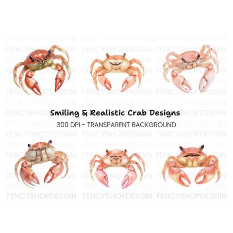 Cute Crab Clipart Bundle