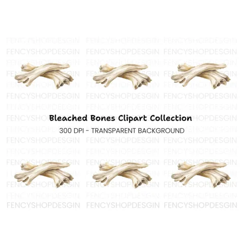 White Washed Driftwood Clipart Bundle