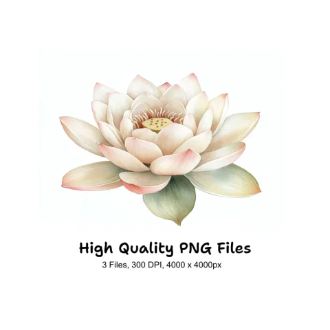 Graceful Water Lily Clipart Bundle