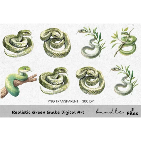 Realistic Green Snake Clipart Bundle