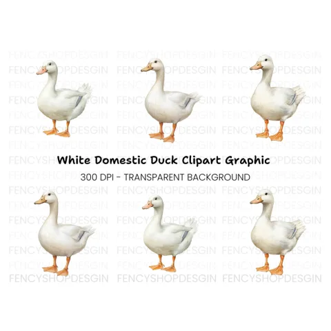 White Duck Clipart Bundle