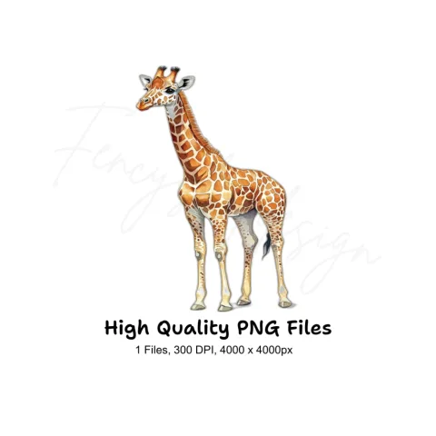 Giraffe Illustration Clipart Bundle