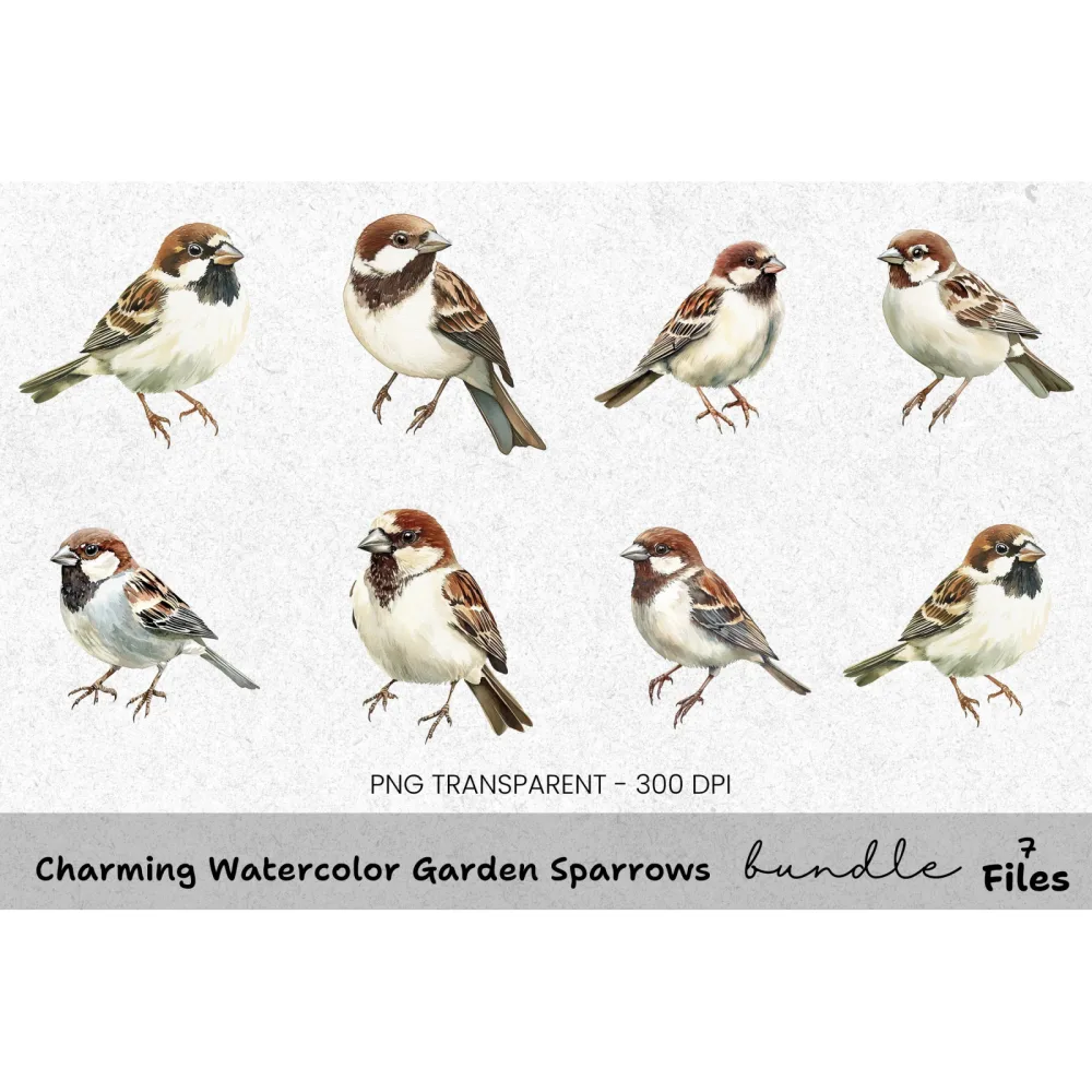 Charming Garden Sparrows Clipart Bundle