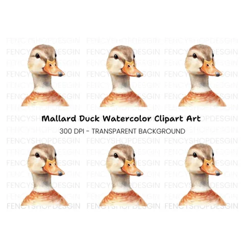 Adorable Duck Head Clipart Bundle