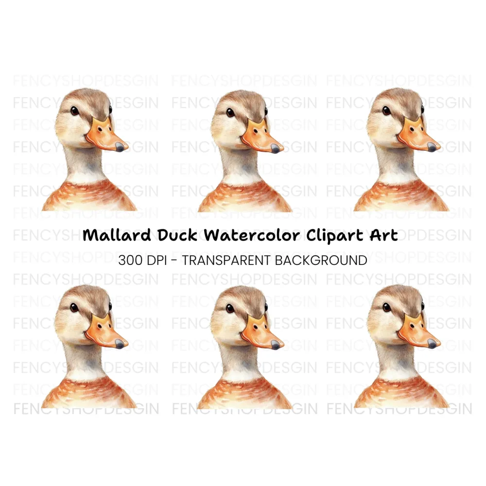 Adorable Duck Head Clipart Bundle