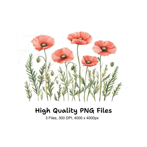 Poppy Flowers Clipart Bundle