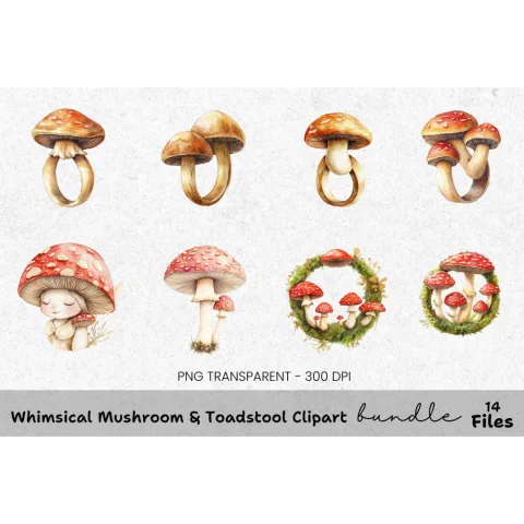 Whimsical Mushroom Toadstool Clipart Bundle