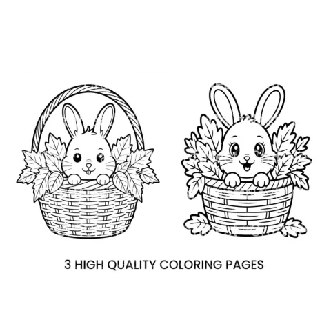 Cute Bunny in Basket Coloring Books