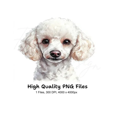 Adorable Poodle Puppy Clipart Bundle