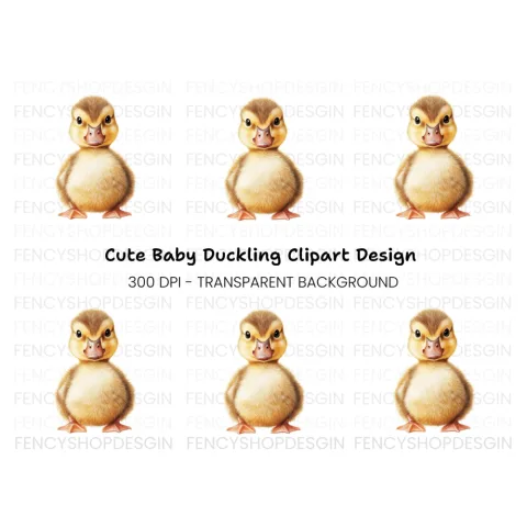 Cute Baby Duckling Clipart Bundle
