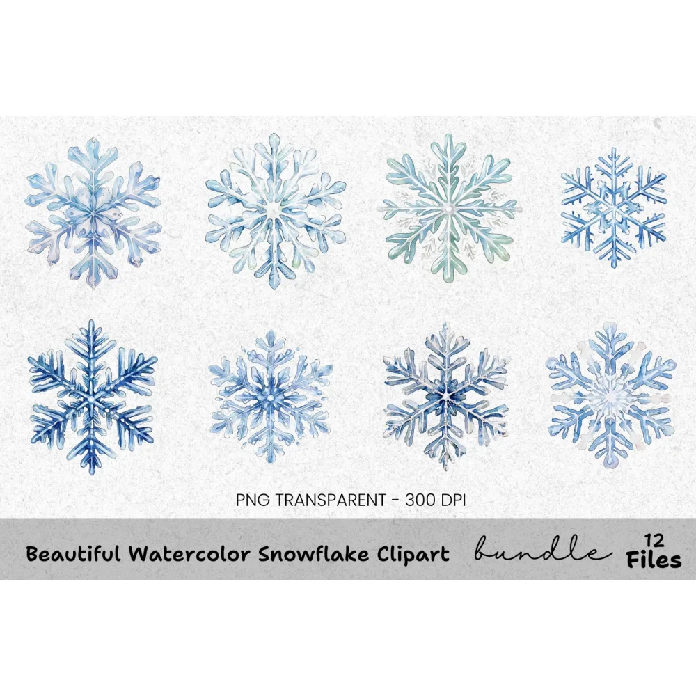 Beautiful Snowflake Clipart Bundle