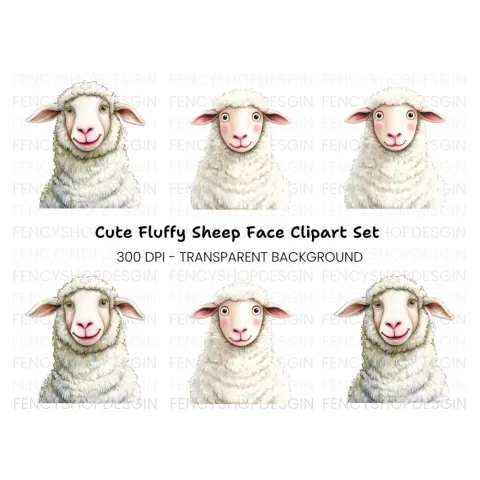 Cute Sheep Clipart Bundle