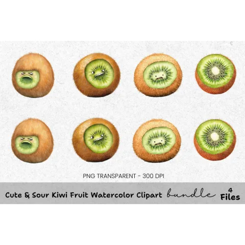 Cute Kiwi Fruit Clipart Bundle