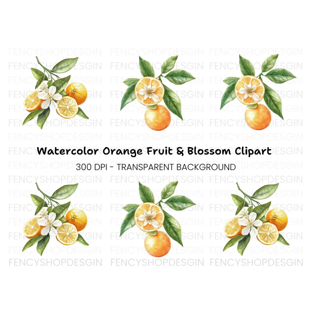 Citrus Fruit Blossom Clipart Bundle