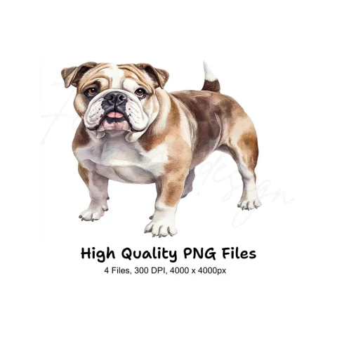 Cute Bulldog Dog Clipart Bundle
