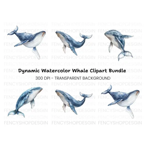 Humpback Whale Clipart Bundle