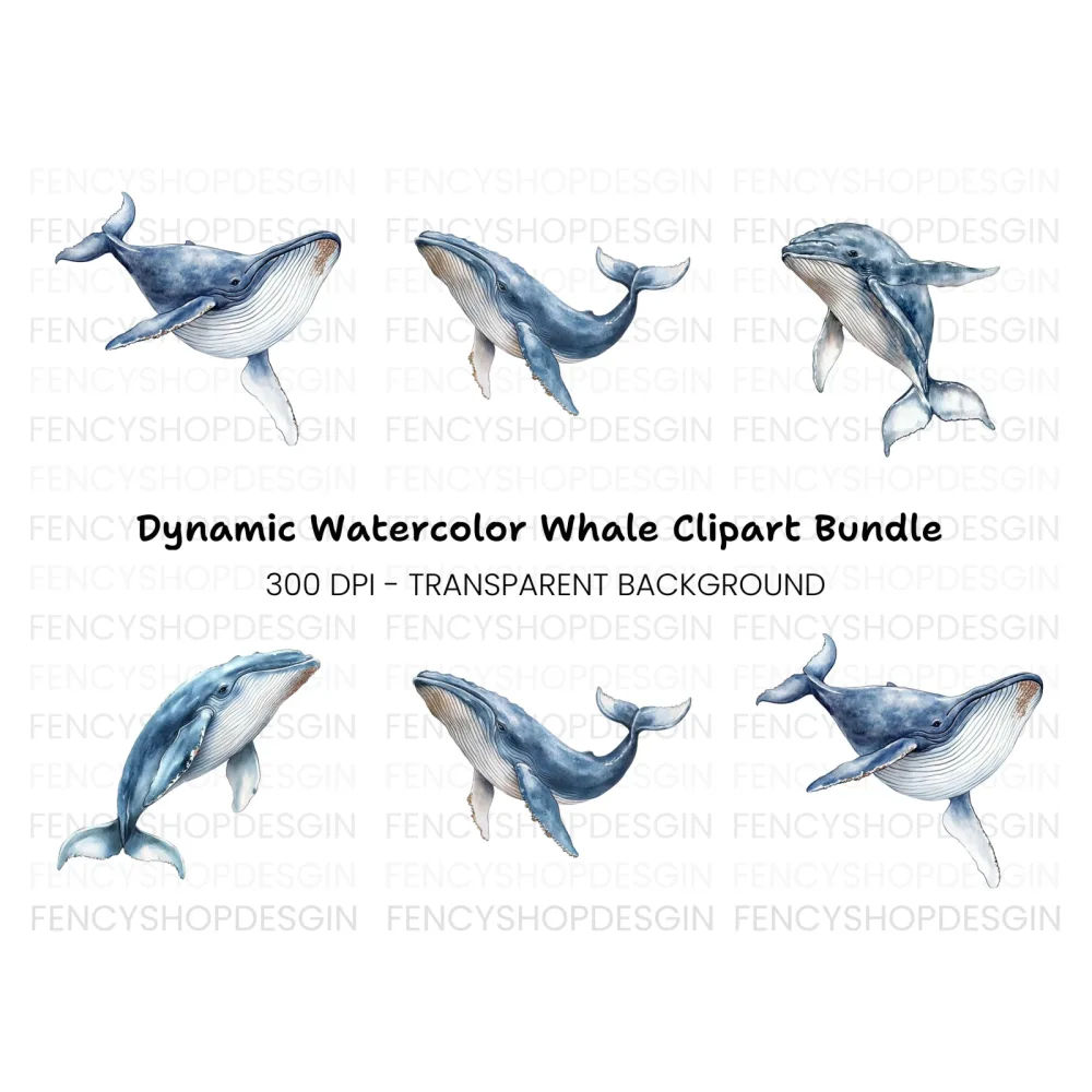 Humpback Whale Clipart Bundle