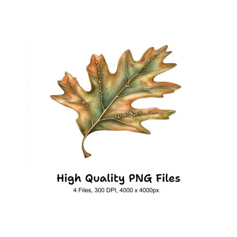 Oak Leaves Clipart Bundle