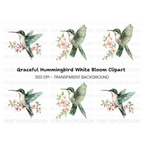 Hummingbird with Pink Blossoms Clipart Bundle