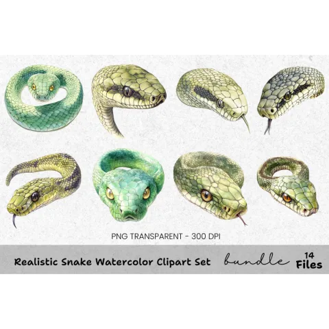Realistic Snake Clipart Bundle