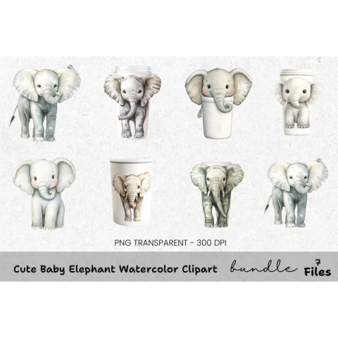 Cute Baby Elephant Clipart Bundle