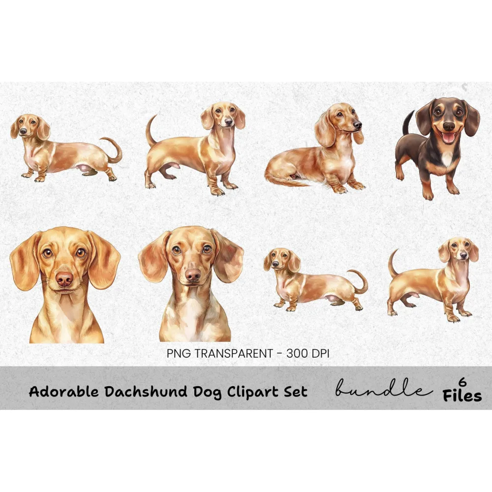 Adorable Dachshund Dog Clipart Bundle