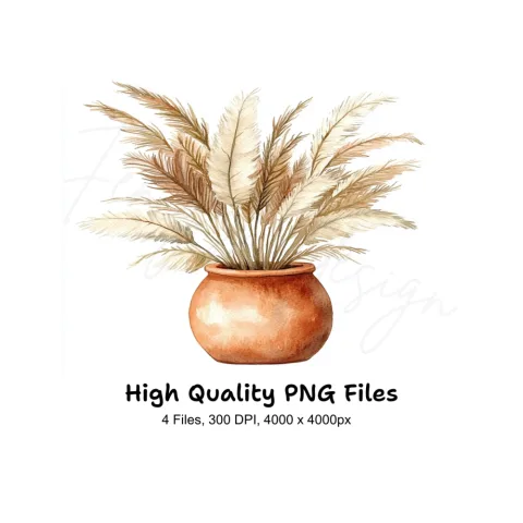 Pampas Grass in Terracotta Pots Clipart Bundle