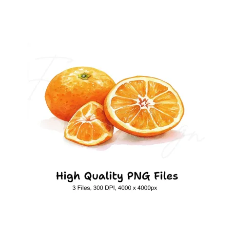 Fresh Orange Clipart Bundle