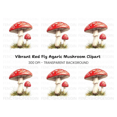 Fly Agaric Mushrooms Clipart Bundle