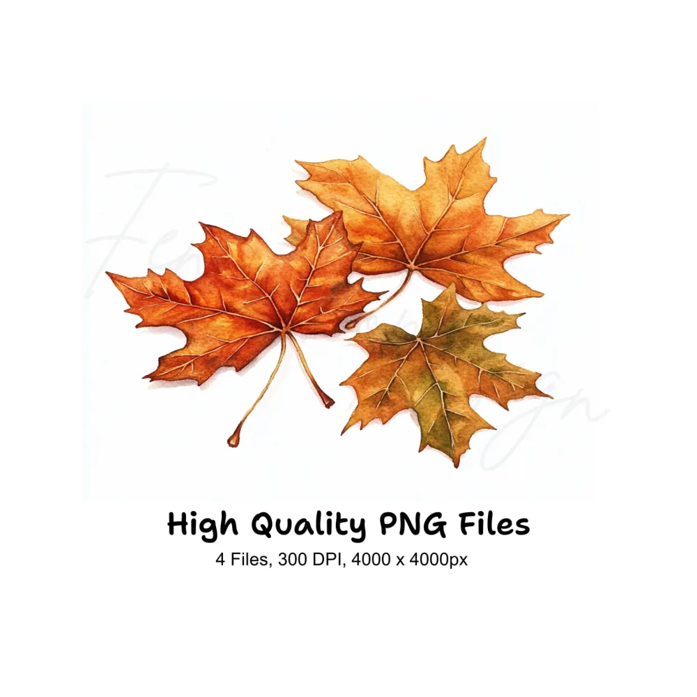 Autumn Maple Leaves Clipart Bundle