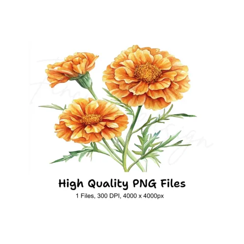 Vibrant Orange Marigold Flower Clipart Bundle