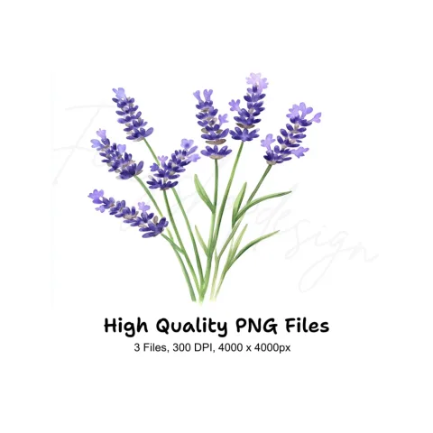 Lavender Flower Clipart Bundle