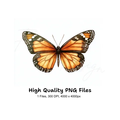 Monarch Butterfly Clipart Bundle