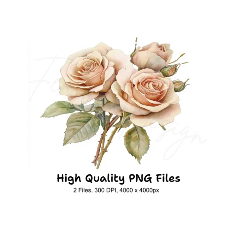 Elegant Cream Roses Clipart Bundle