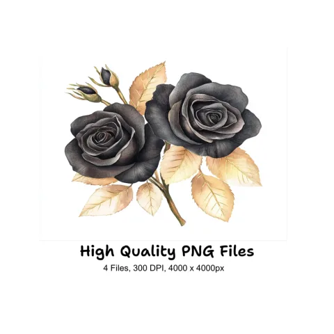 Elegant Black Roses with Gold Leaves Clipart Bundle