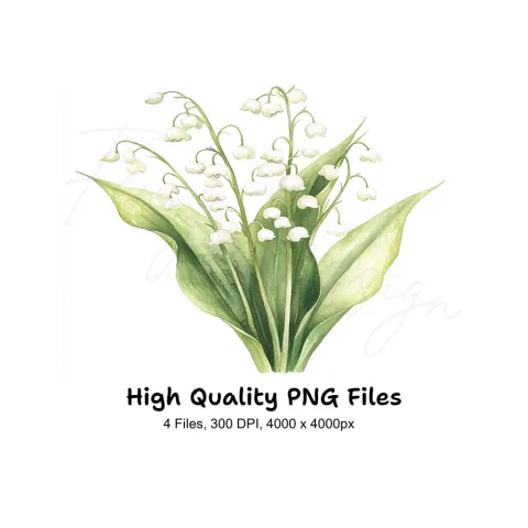 Elegant Lily of the Valley Clipart Bundle